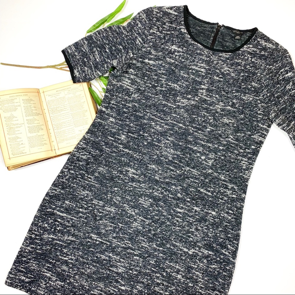 Ann Taylor Speckle Print Sweater Dress Sz 10P